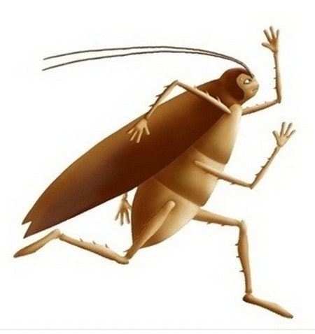 %B9%D9%C4%FB%B9%FA%B7%B9.jpg?type=w740