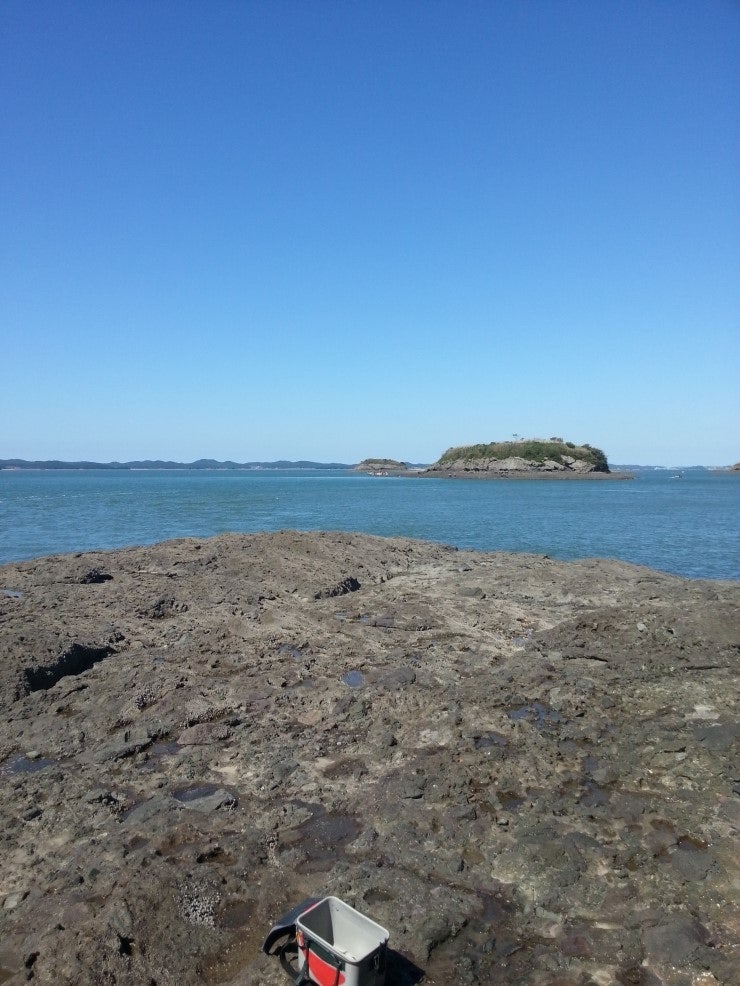 %BB%E7%C1%F8_438.jpg?type=w740