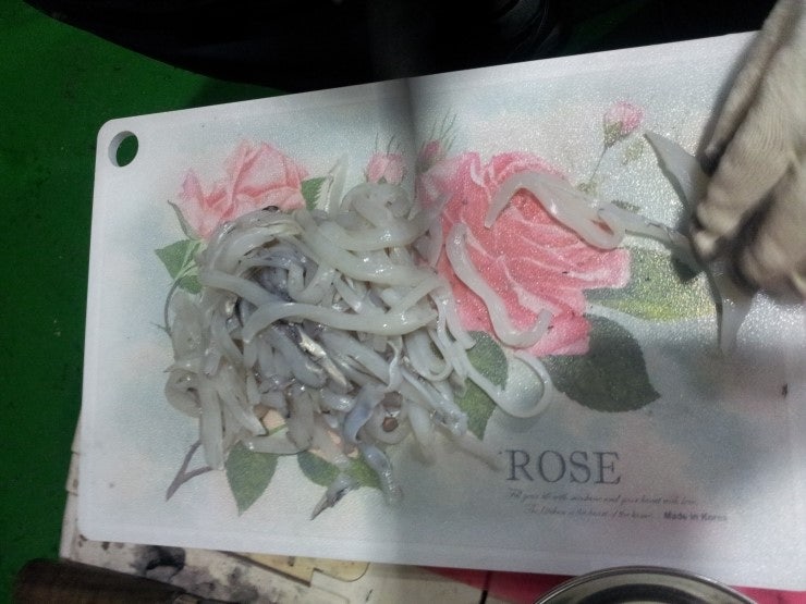 %BB%E7%C1%F8_987.jpg?type=w740