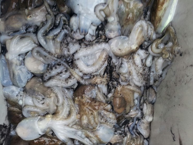 %BB%E7%C1%F8_874.jpg?type=w740