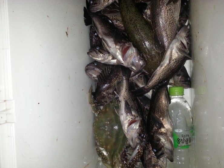 %BB%E7%C1%F8_863.jpg?type=w740