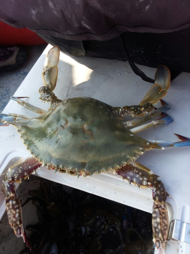 %BB%E7%C1%F8_877.jpg?type=w740