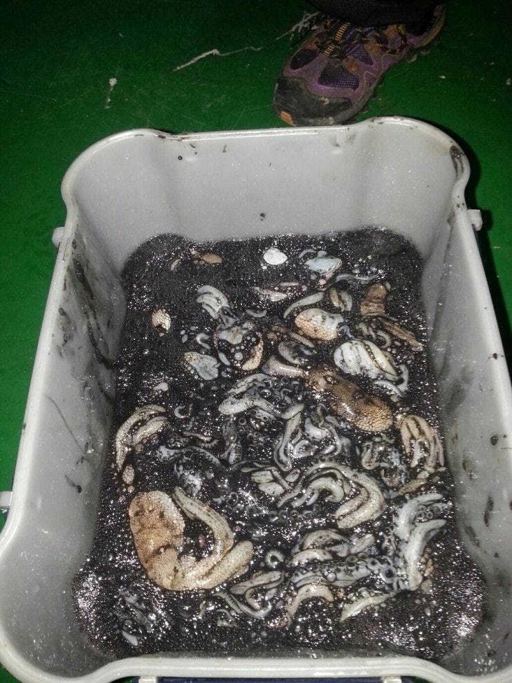 %BB%E7%C1%F8_869.jpg?type=w740