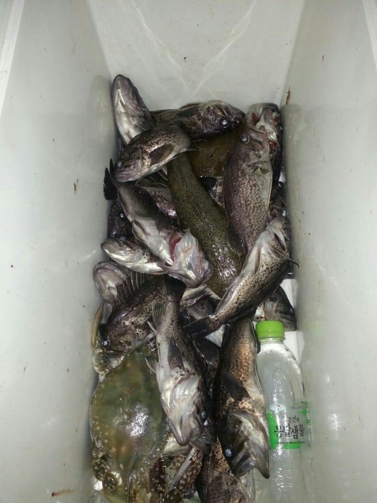 %BB%E7%C1%F8_868.jpg?type=w740