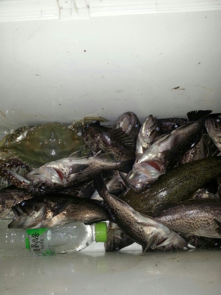 %BB%E7%C1%F8_871.jpg?type=w740