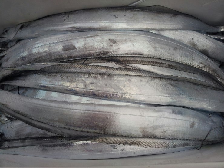 %BB%E7%C1%F8_935.jpg?type=w740