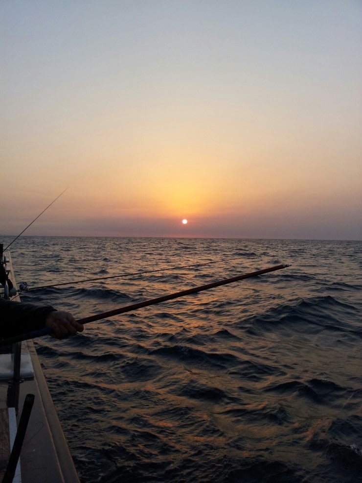 %BB%E7%C1%F8_954.jpg?type=w740