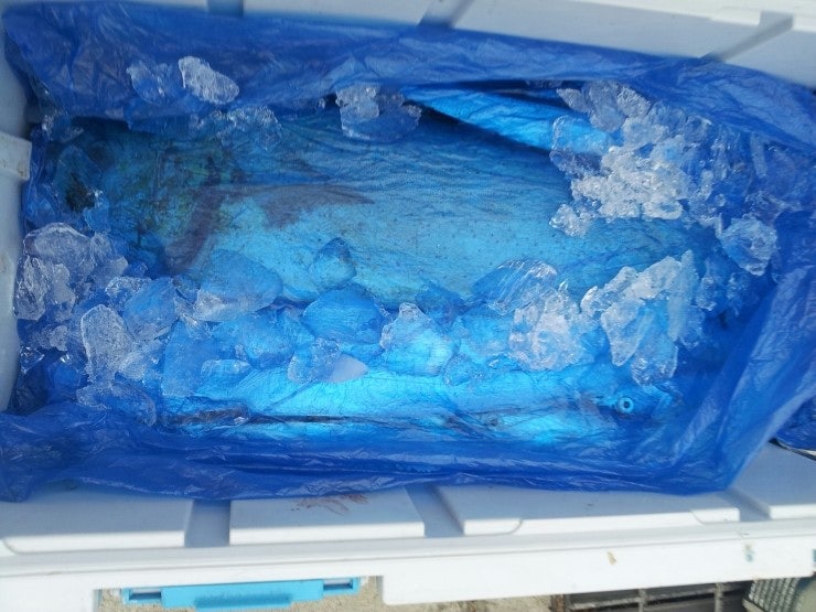 %BB%E7%C1%F8_937.jpg?type=w740