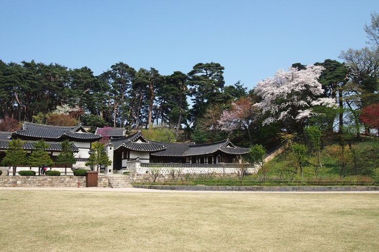 경포자원 이미지