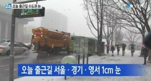 엘존 이미지