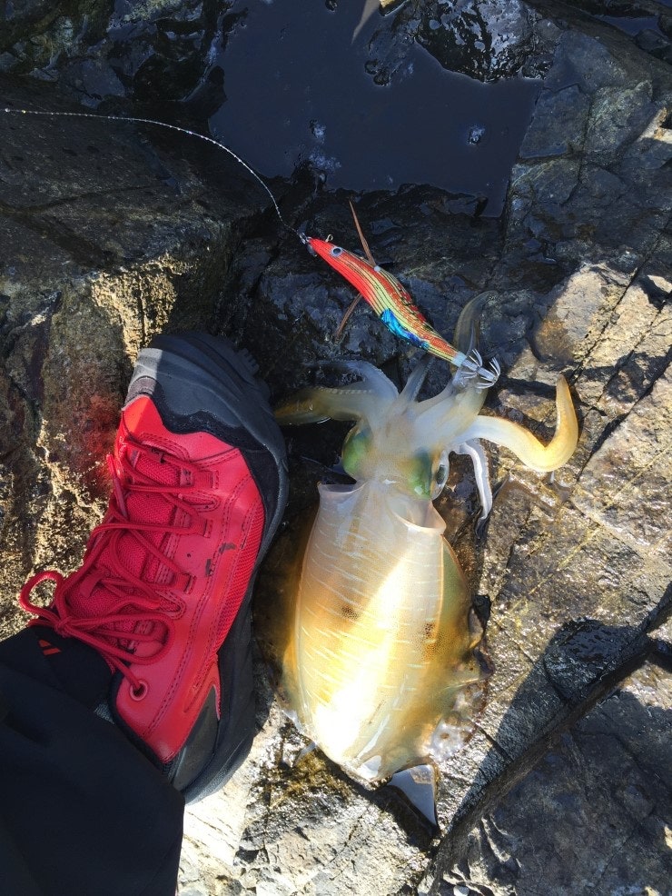 IMG_1176.JPG?type=w740