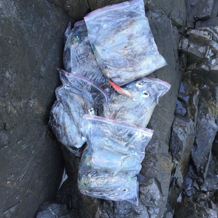 IMG_1186.JPG?type=w740